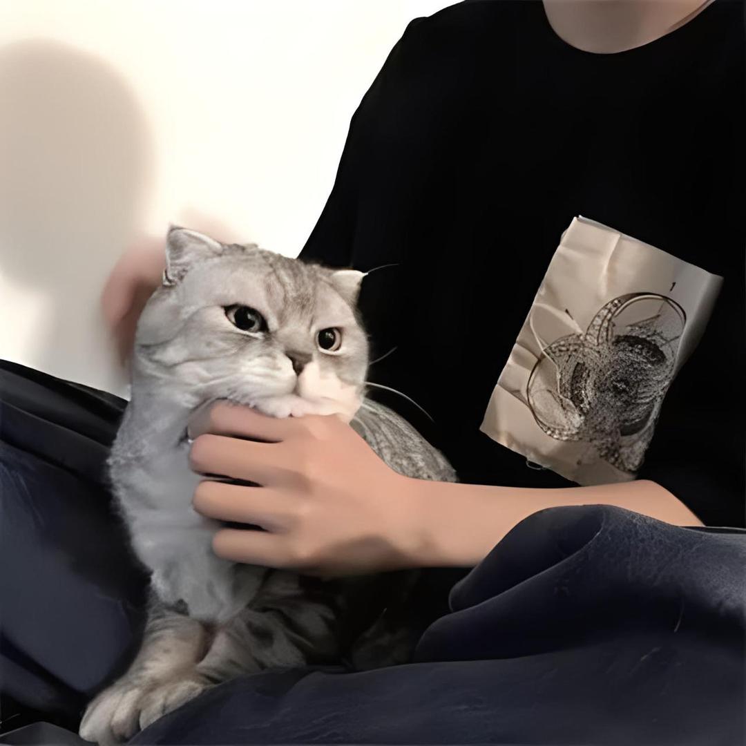 钟情（暗区突围pc）