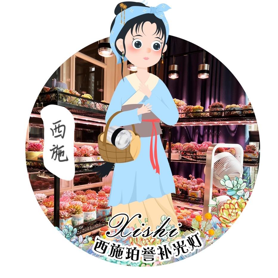 西施🌵珀誉补光灯第8年