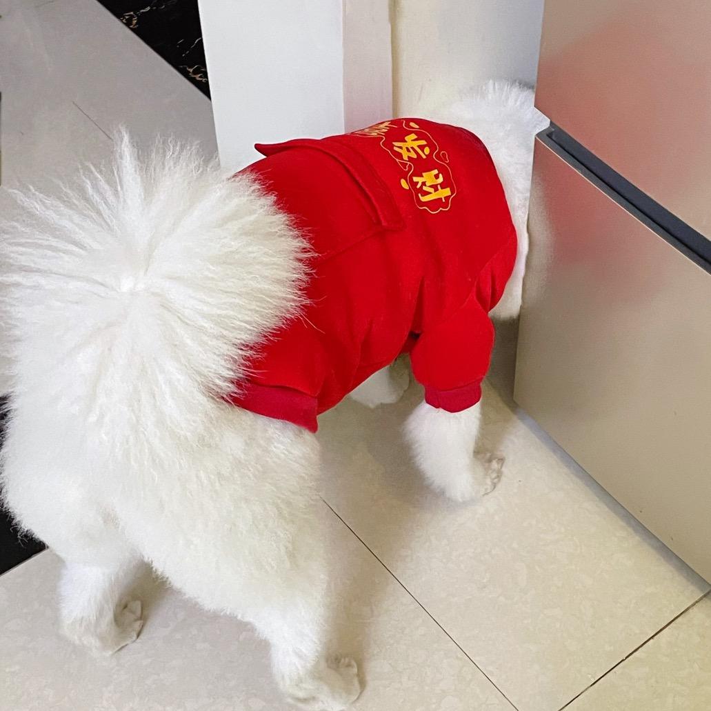 汤圆耶耶💫