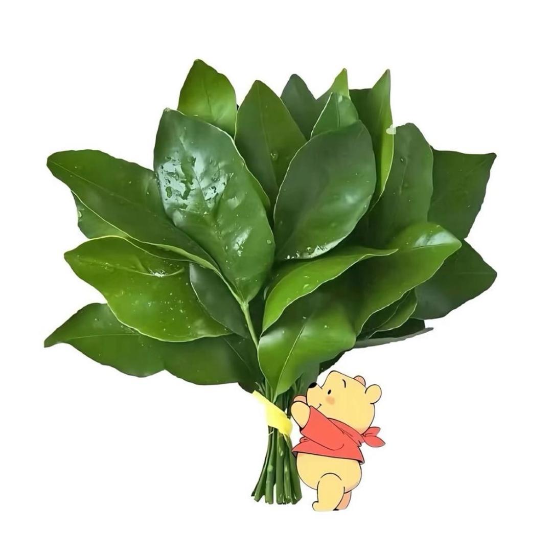 u点小脾气