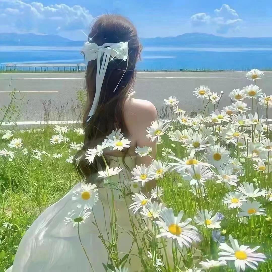 仙女不讲【李】❤️