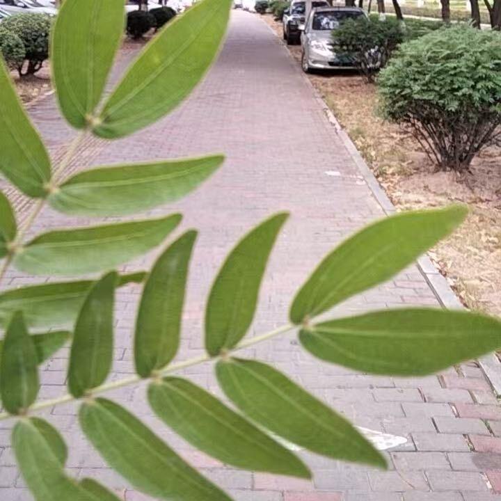 💦雨后的彩虹🌈