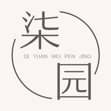 柒园枝干微盆景