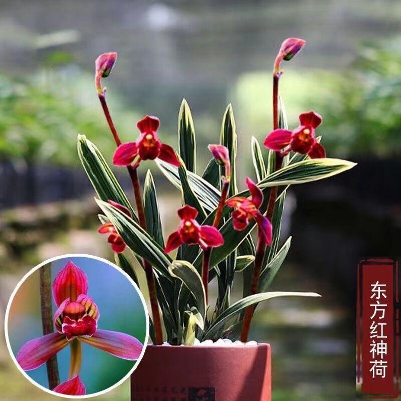 如意兰业