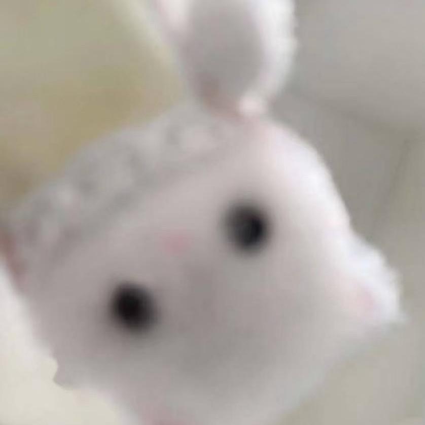 🔮马达加斯加猖狂出逃小野猫