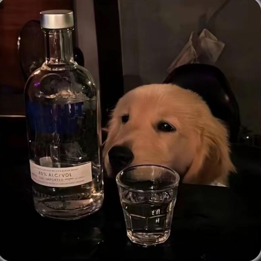 幸福开花红艳艳