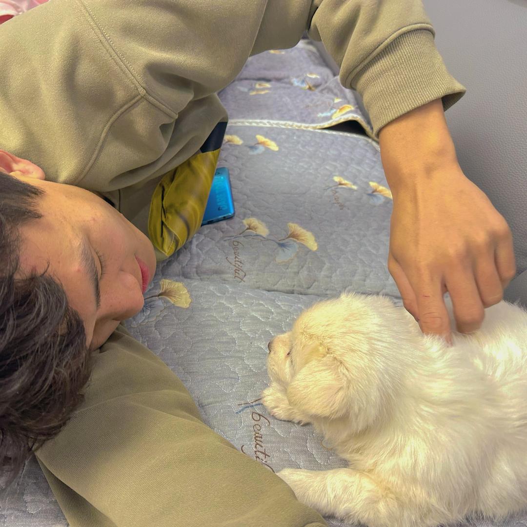 金条🐕🦺