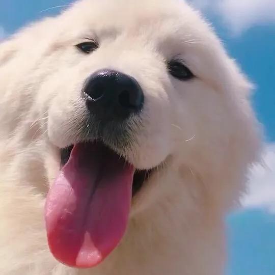 偷偷转个圈❤️