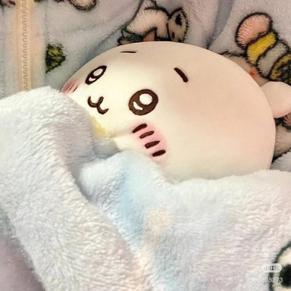 怡