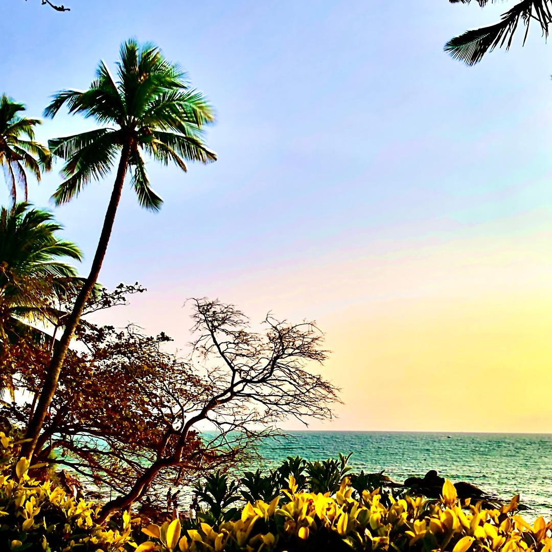 中棉所新疆技术推广