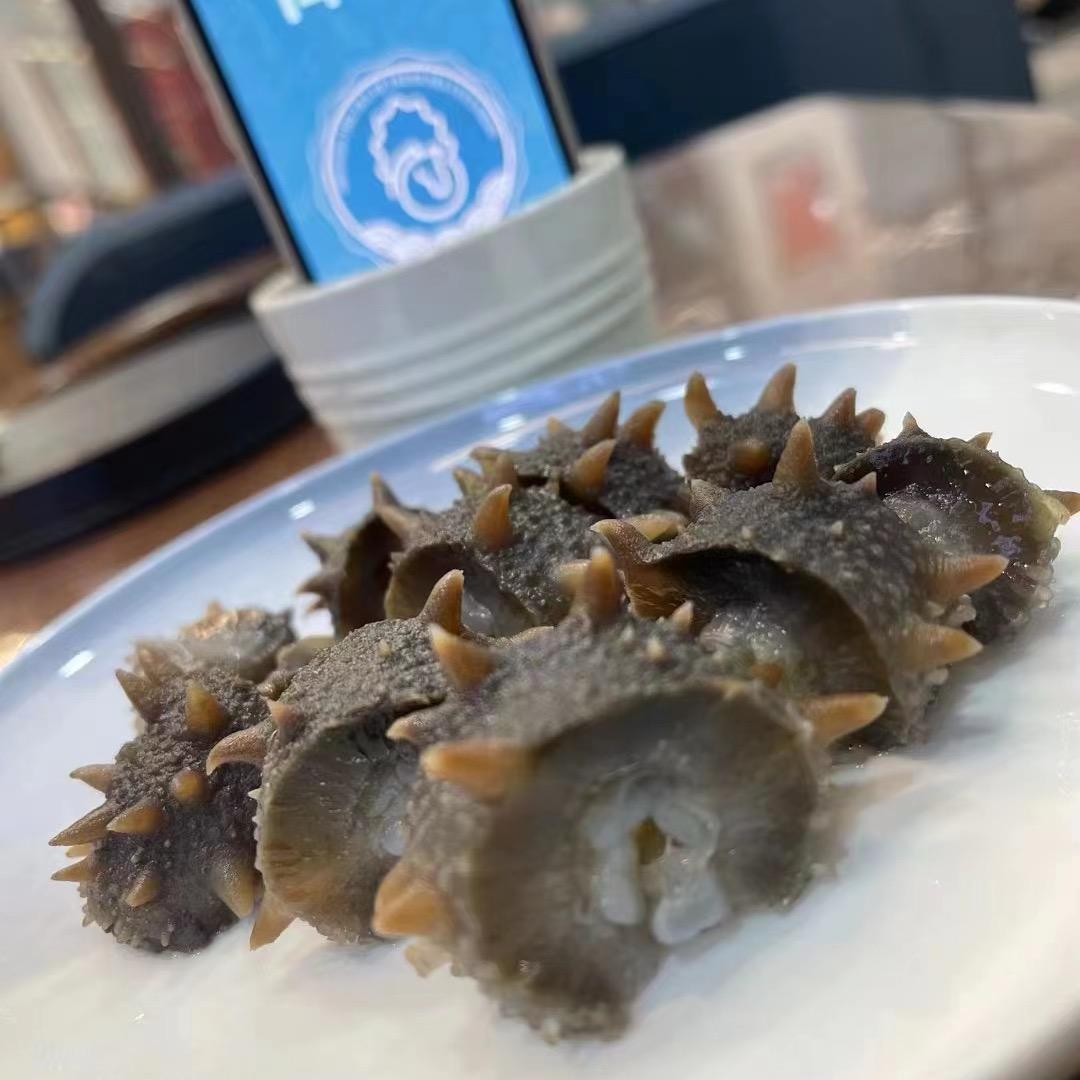 源头海参直发