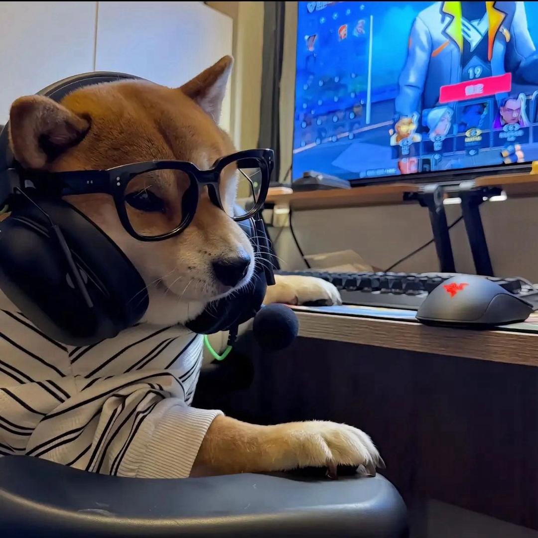 我了个豆儿