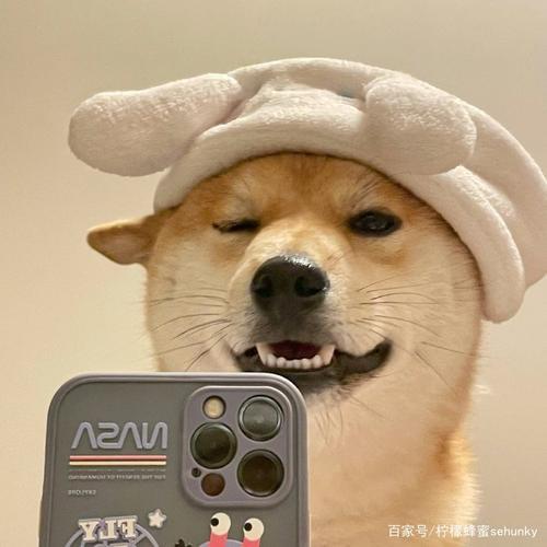 超顺木业