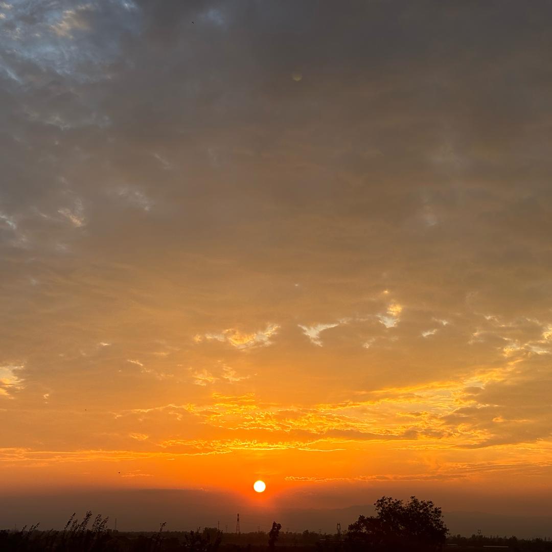 该省省该花花吧