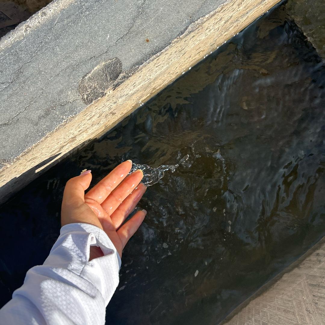 草莓味(˘▽˘)っ🍓