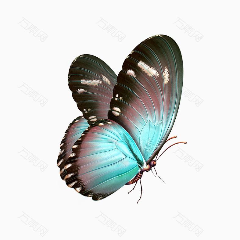 阿珍🦋