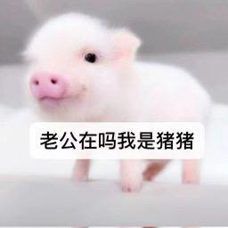 双鱼魚䔡