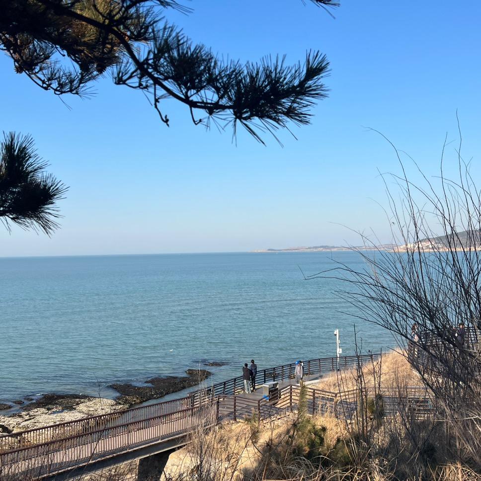 孩子气的小小李.