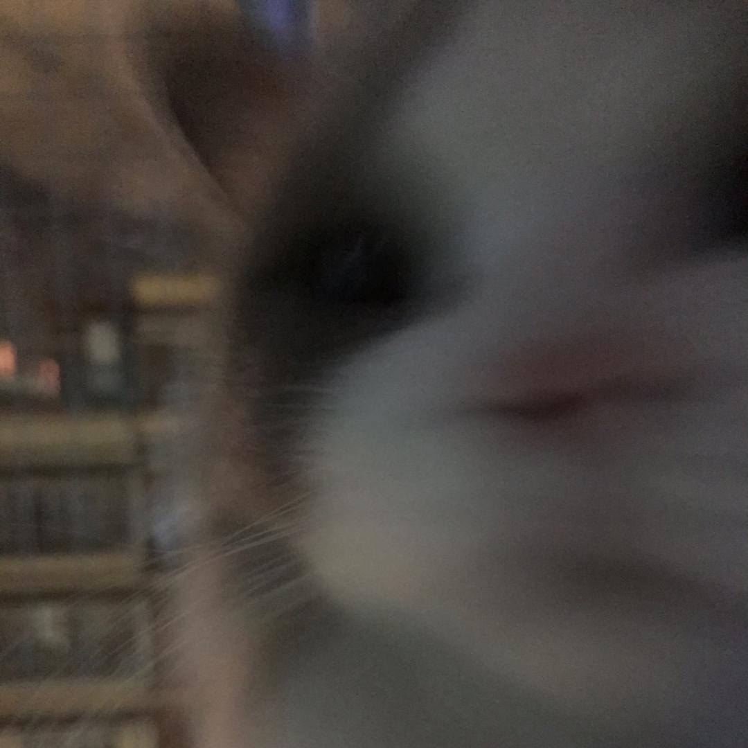 诺季潮流搭配