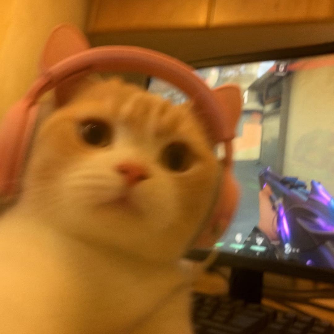 7k7k今天打游戏了吗