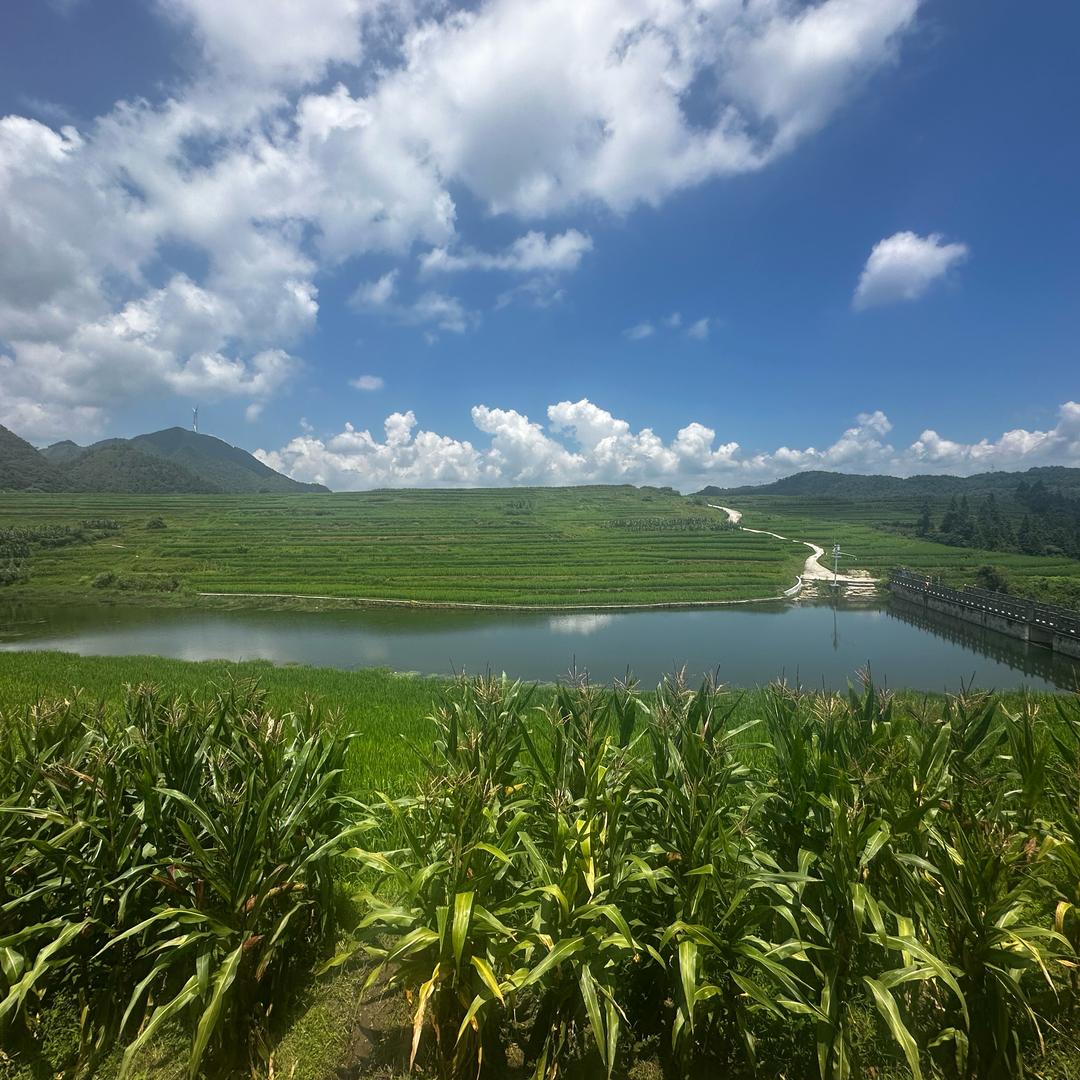 鱼羊鲜