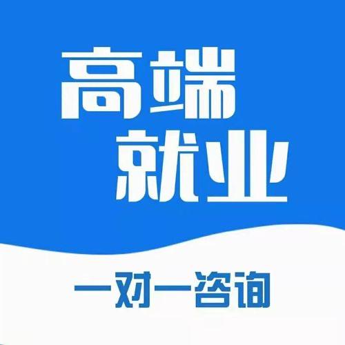 高端就业一对一咨询