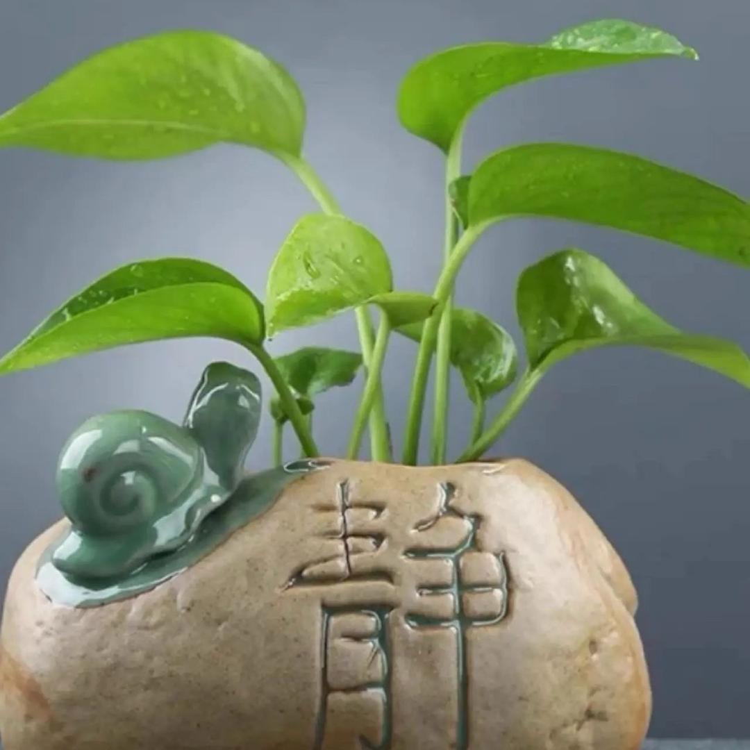 足迹