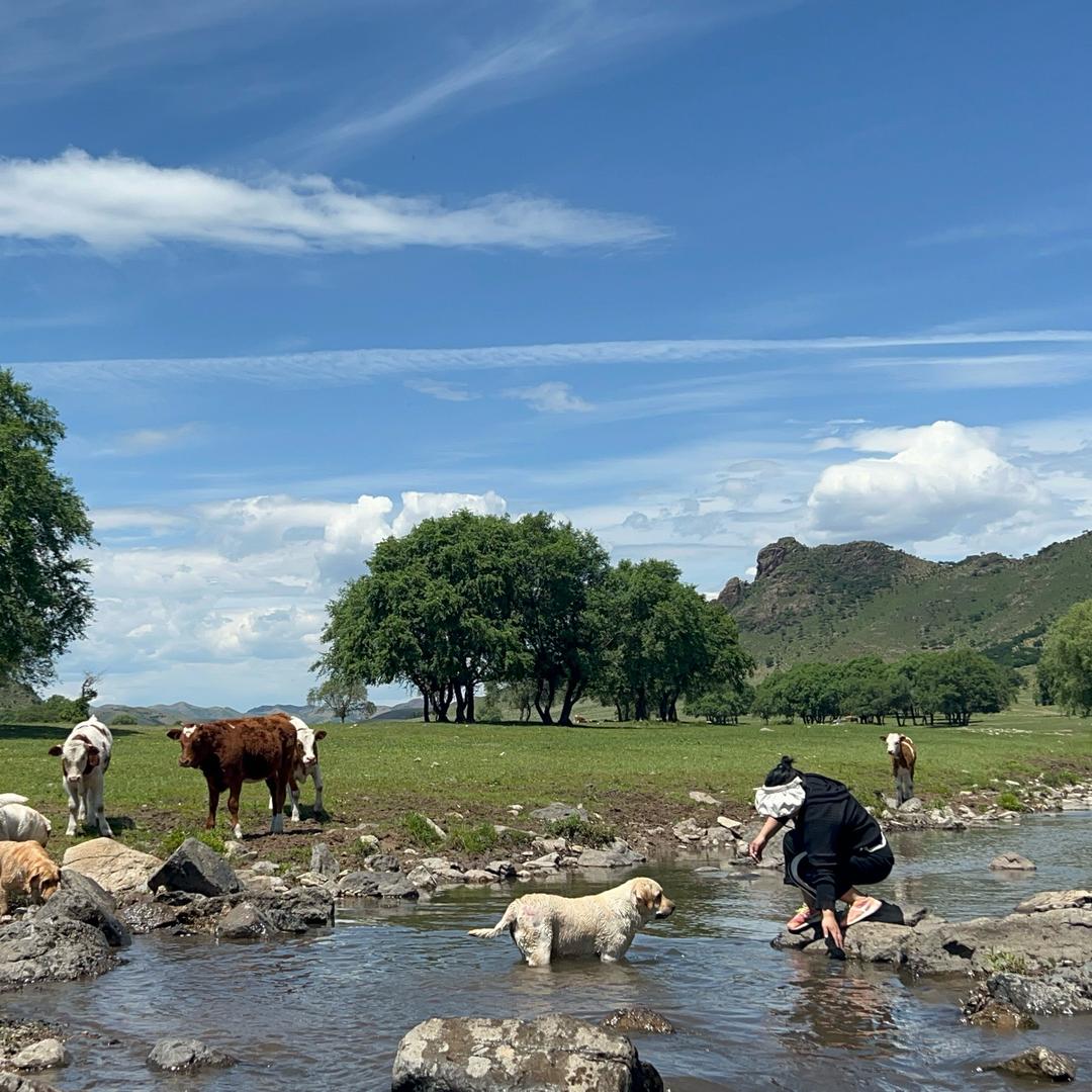 🌼🌼🌼Tana🌼🌼🌼