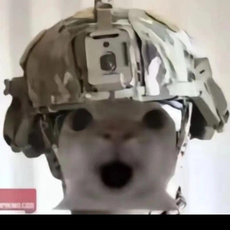 李呀李嘉图Richard