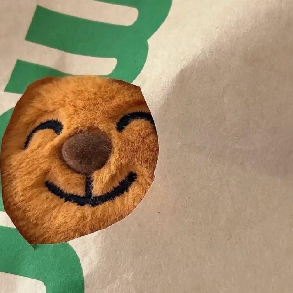 小猫.