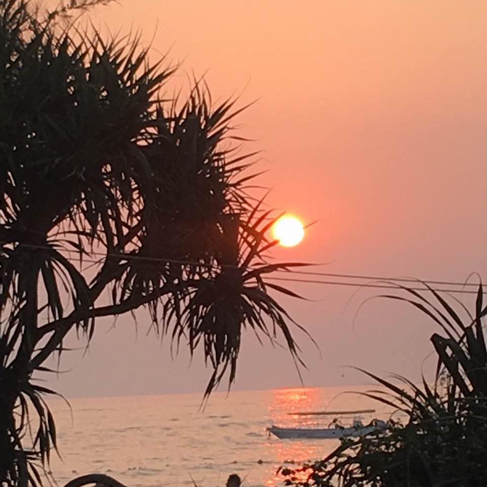向往大海的鱼