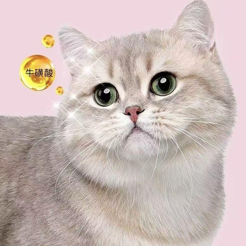 天 宠