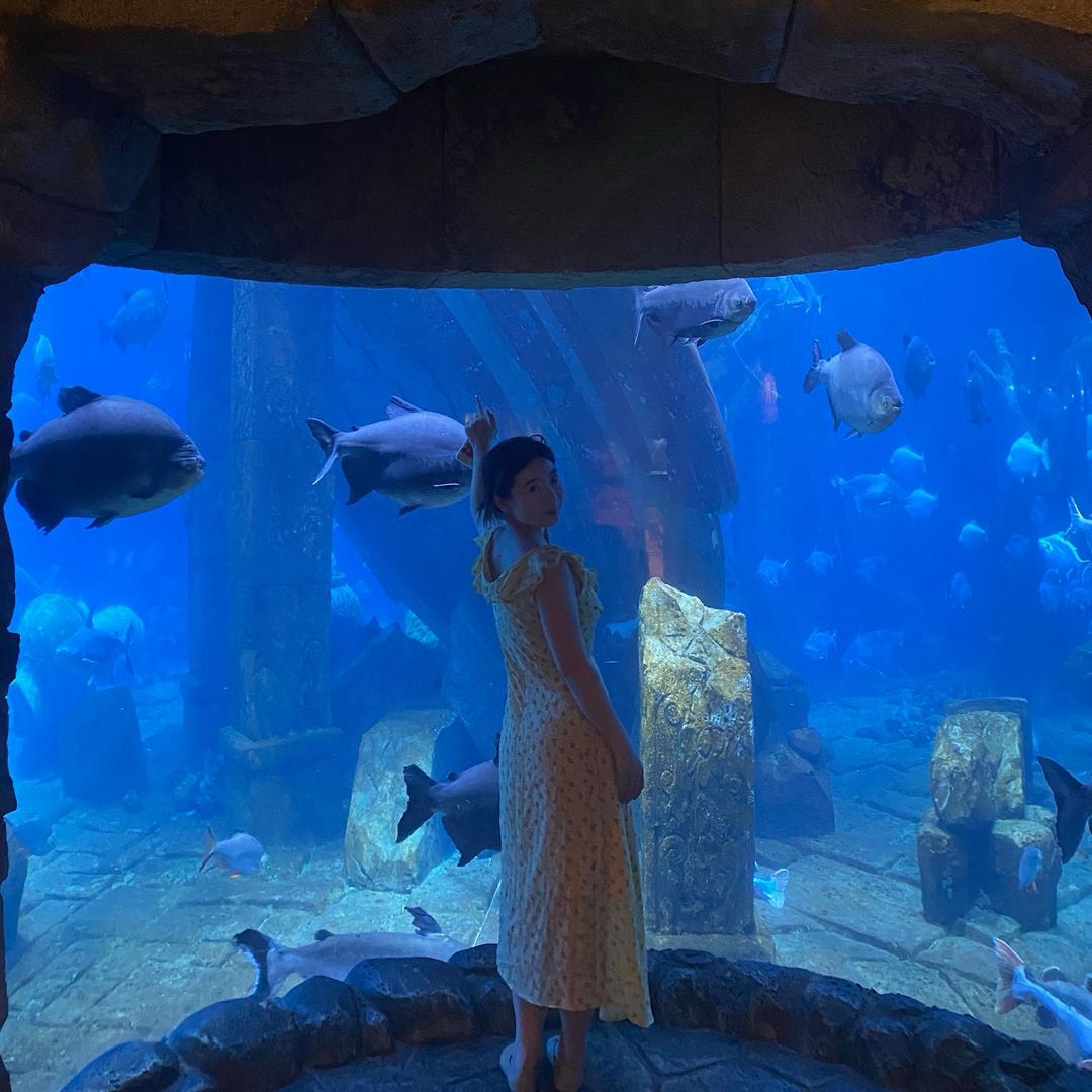 心如止水煮肉片