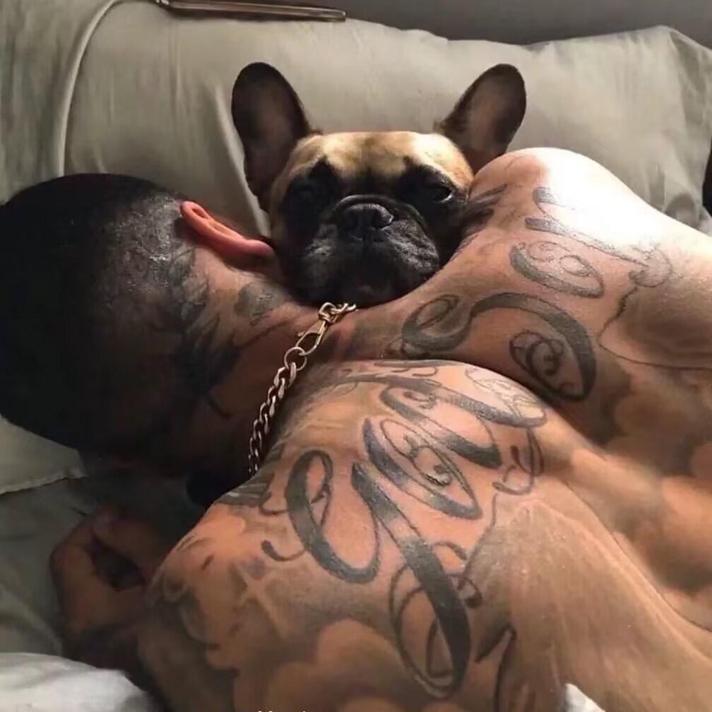慧