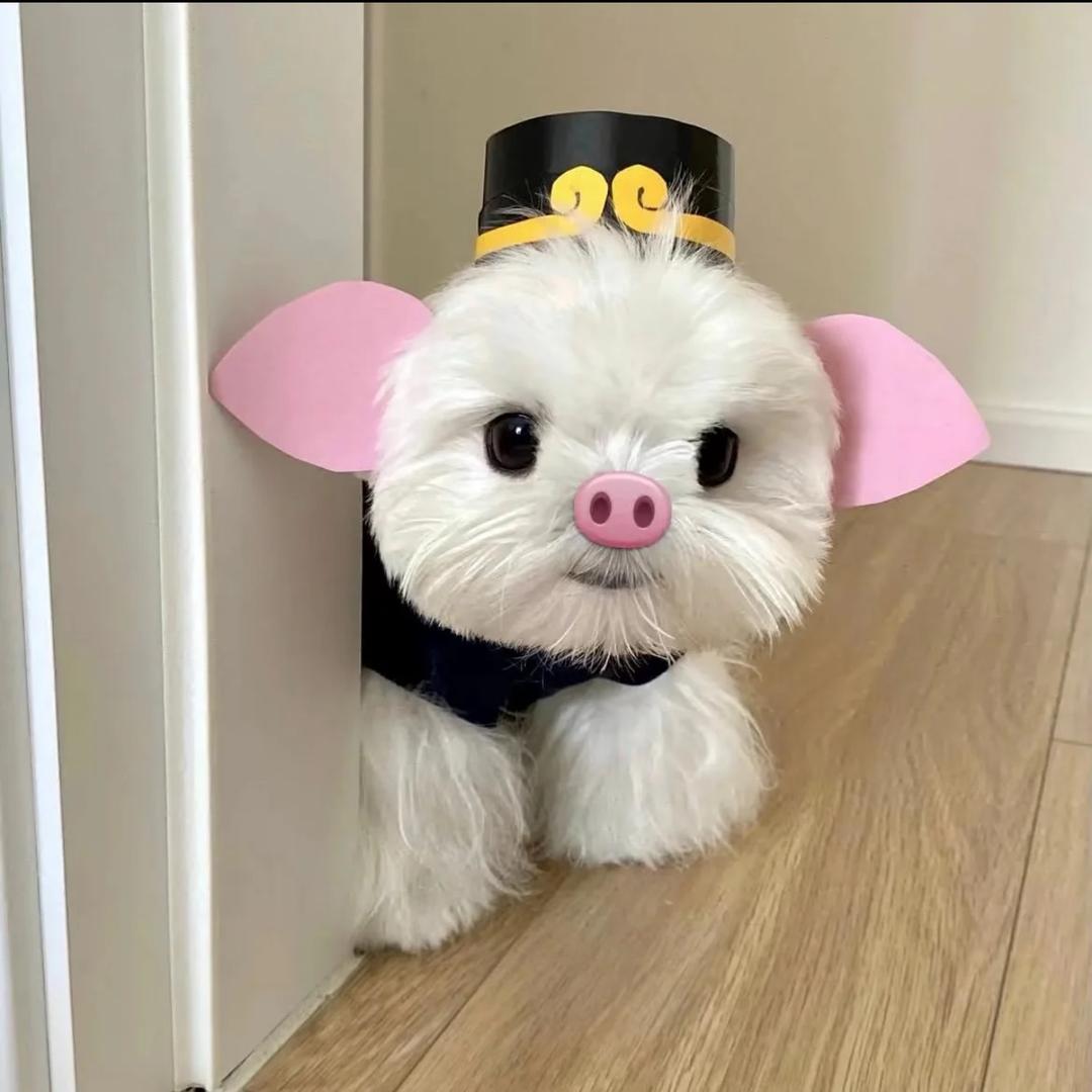 上班爱摸鱼