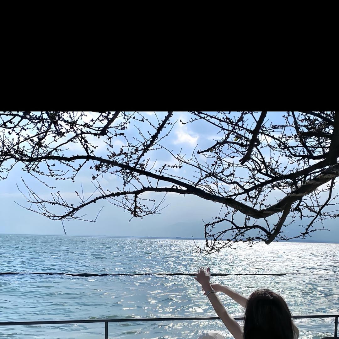 上海网约车租赁巴巴