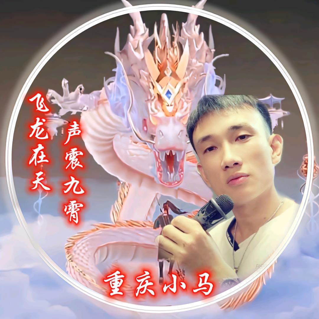 重庆小马
