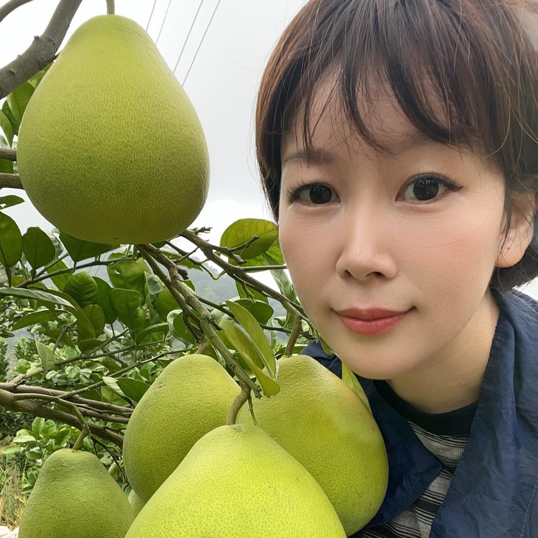 燕子归乡农产品铺