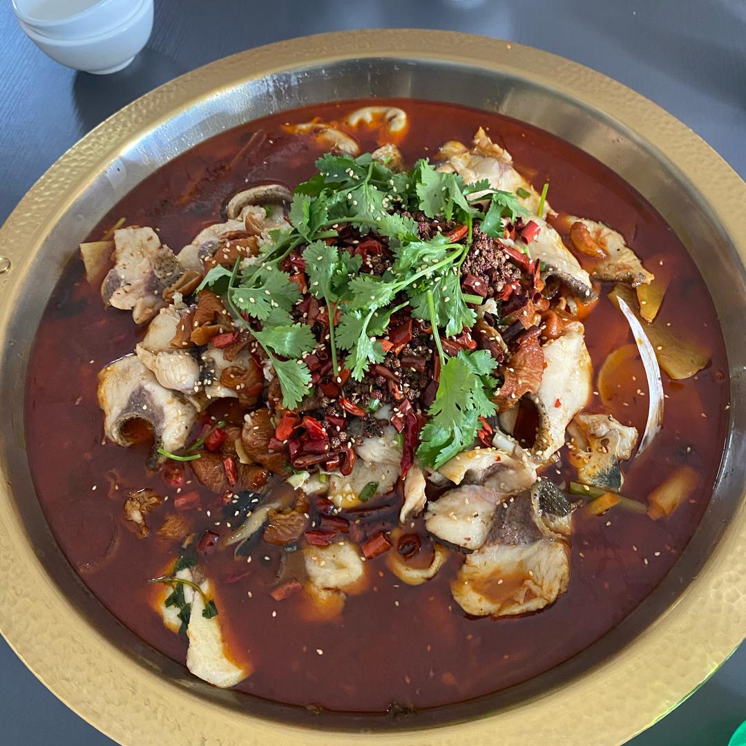 🎉一路向阳（杨）🎉