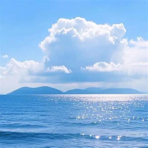 空游（紫微斗数）