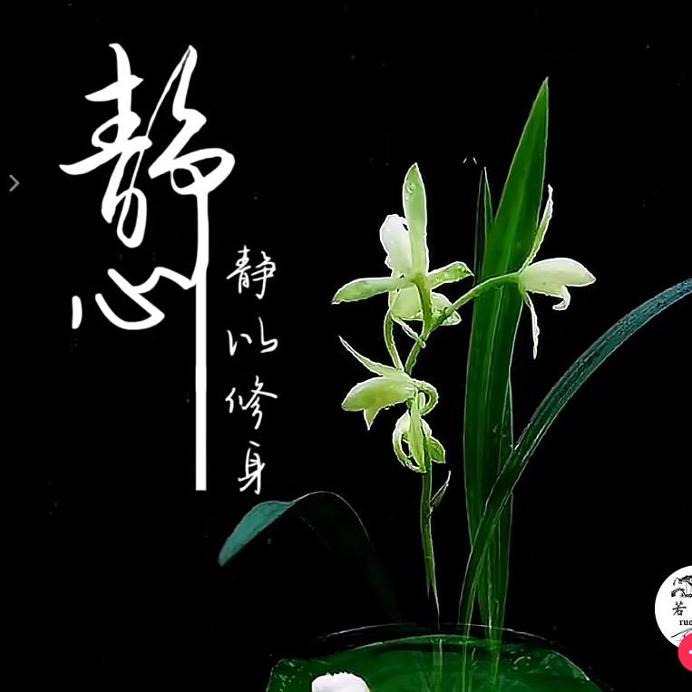 坐在月亮上看星星