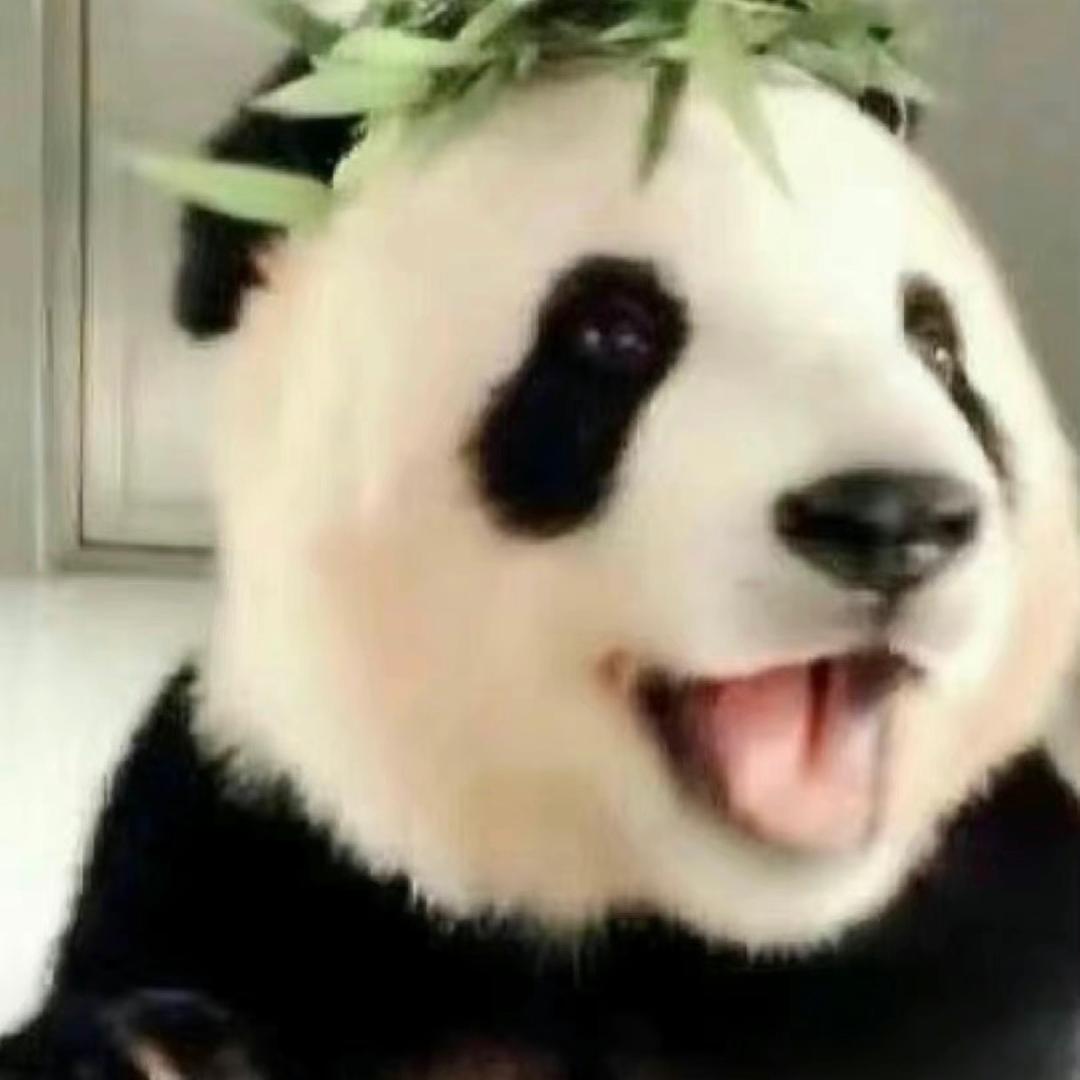锦鲤大王头像