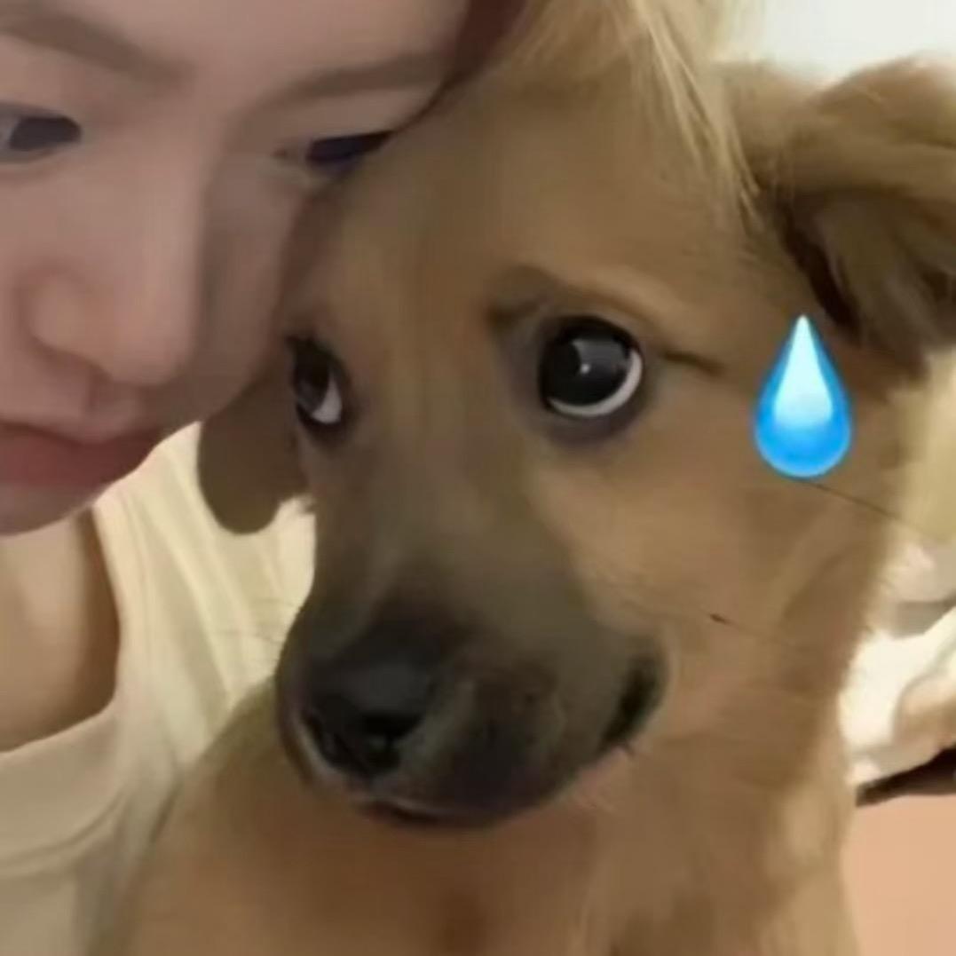 啊哈嘿嘿