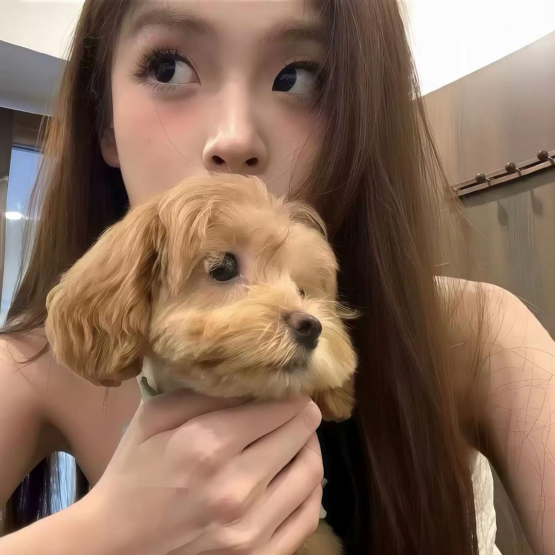 觉今是而昨非