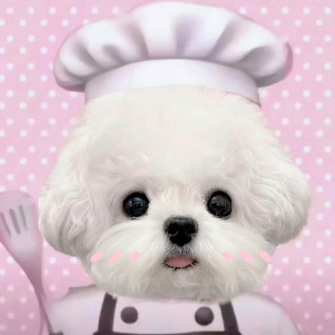 魔法少女小可乐