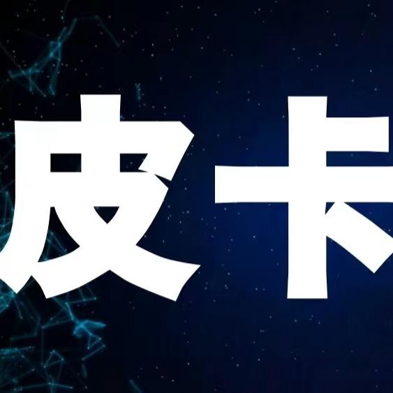 皮卡宋