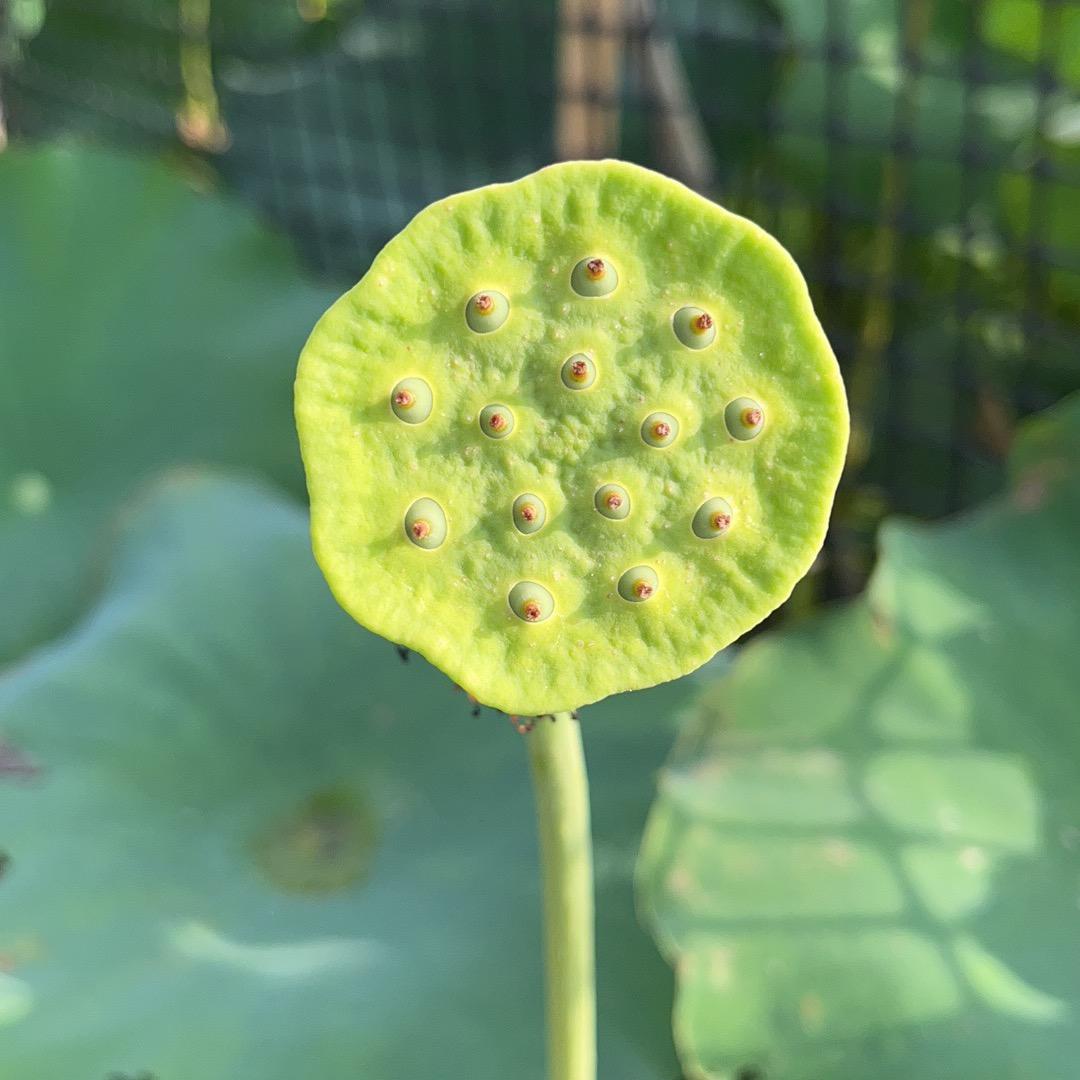 贵州普高专科志愿填报刘老师