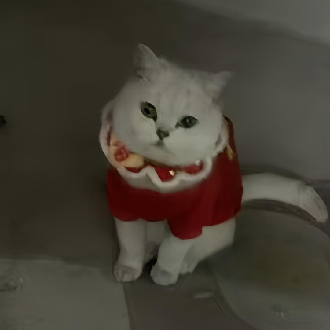 猫小糖