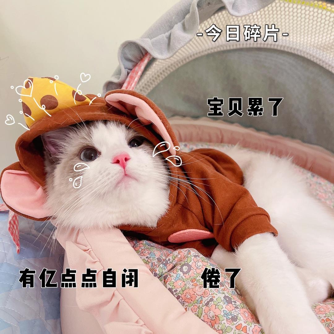 无敌小泡芙