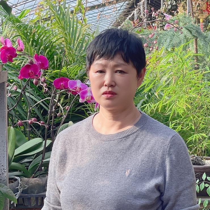 林口县百合花卉